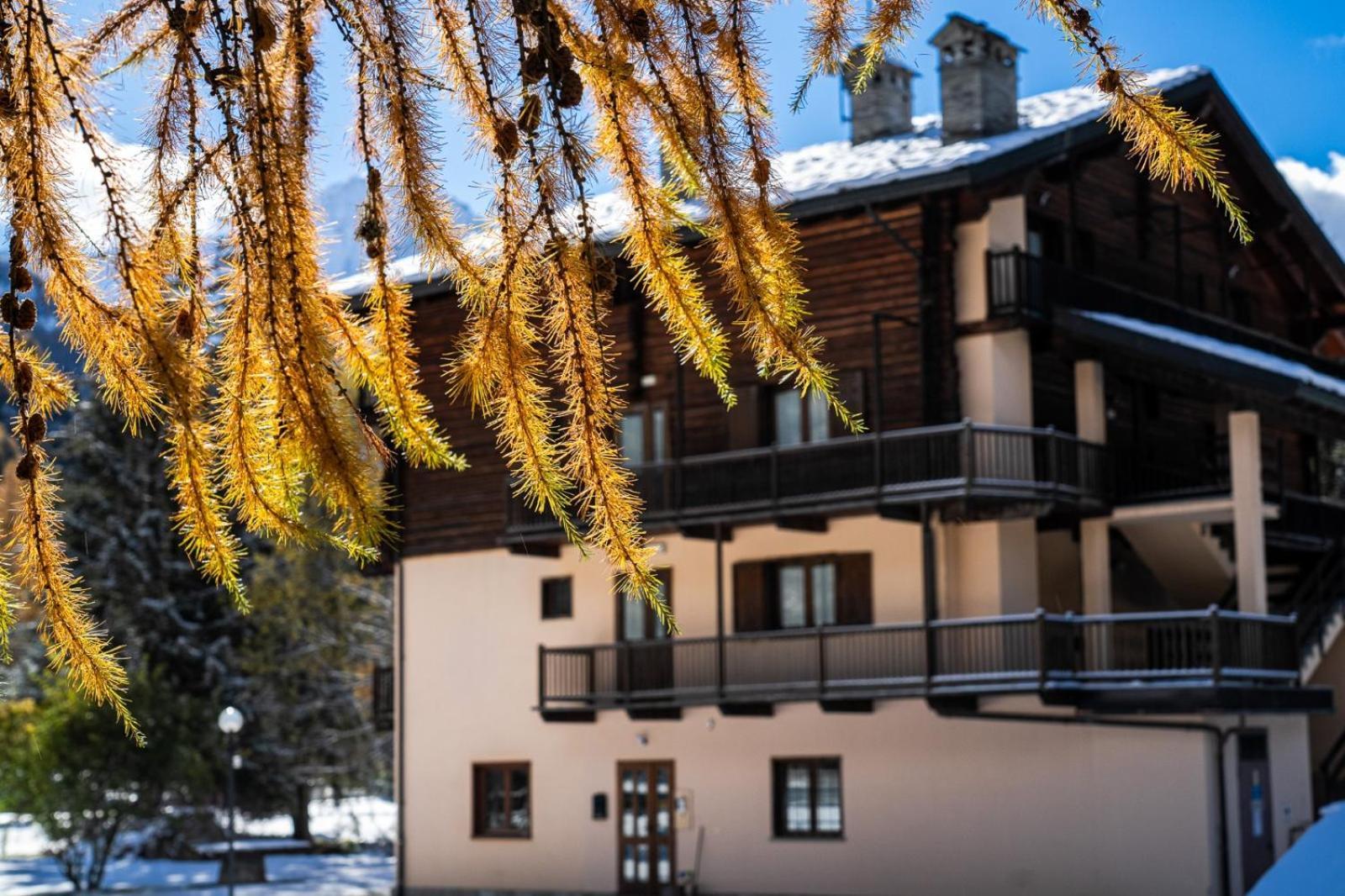 Alpine Forest Hotel Champoluc Extérieur photo