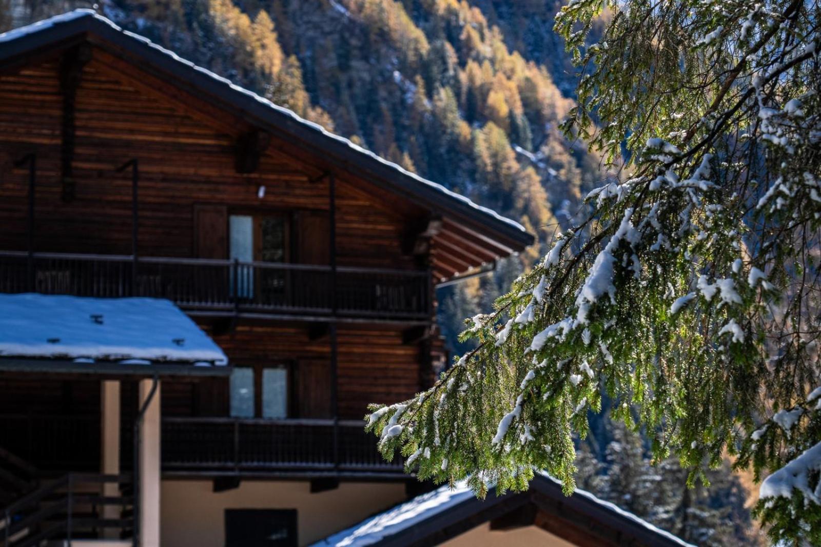 Alpine Forest Hotel Champoluc Extérieur photo